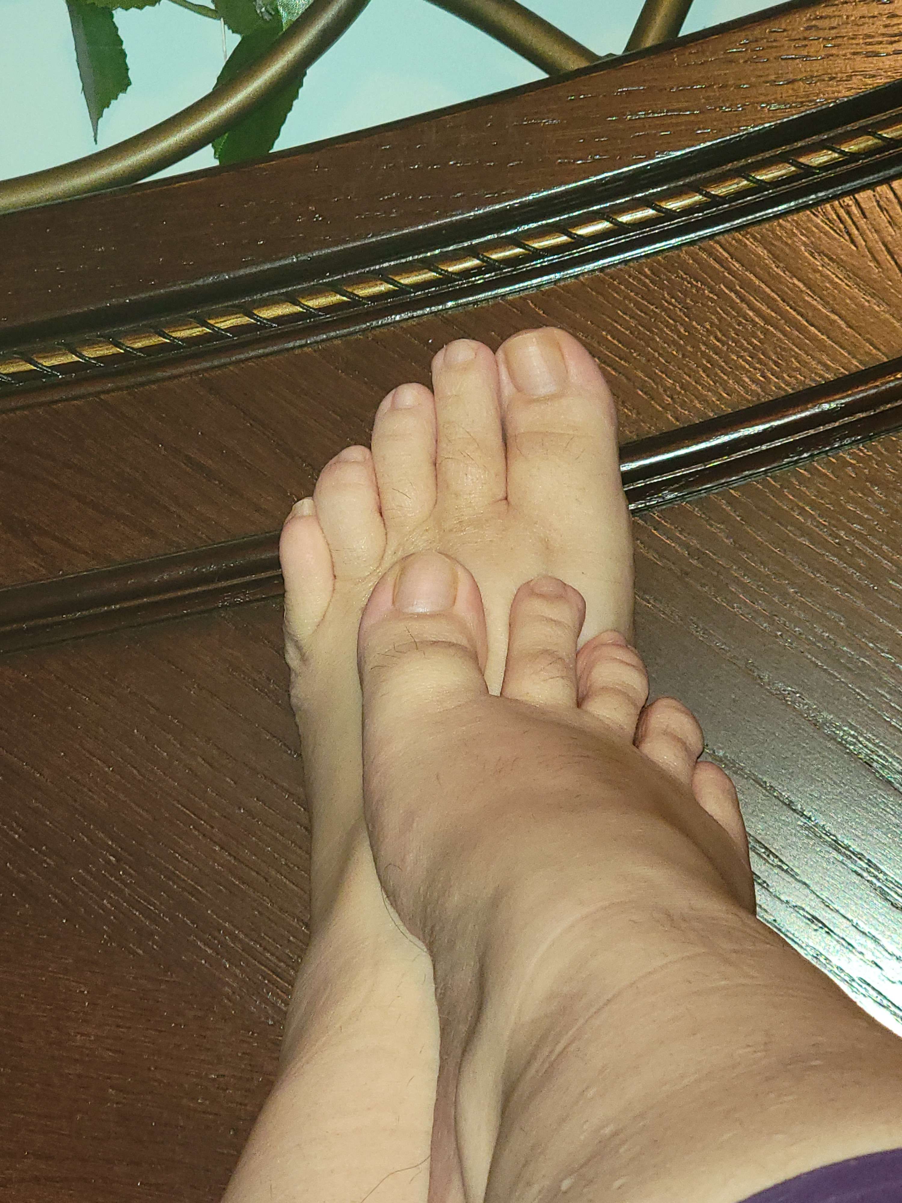 onlyfans Shaninnfeetlovers profile photo  