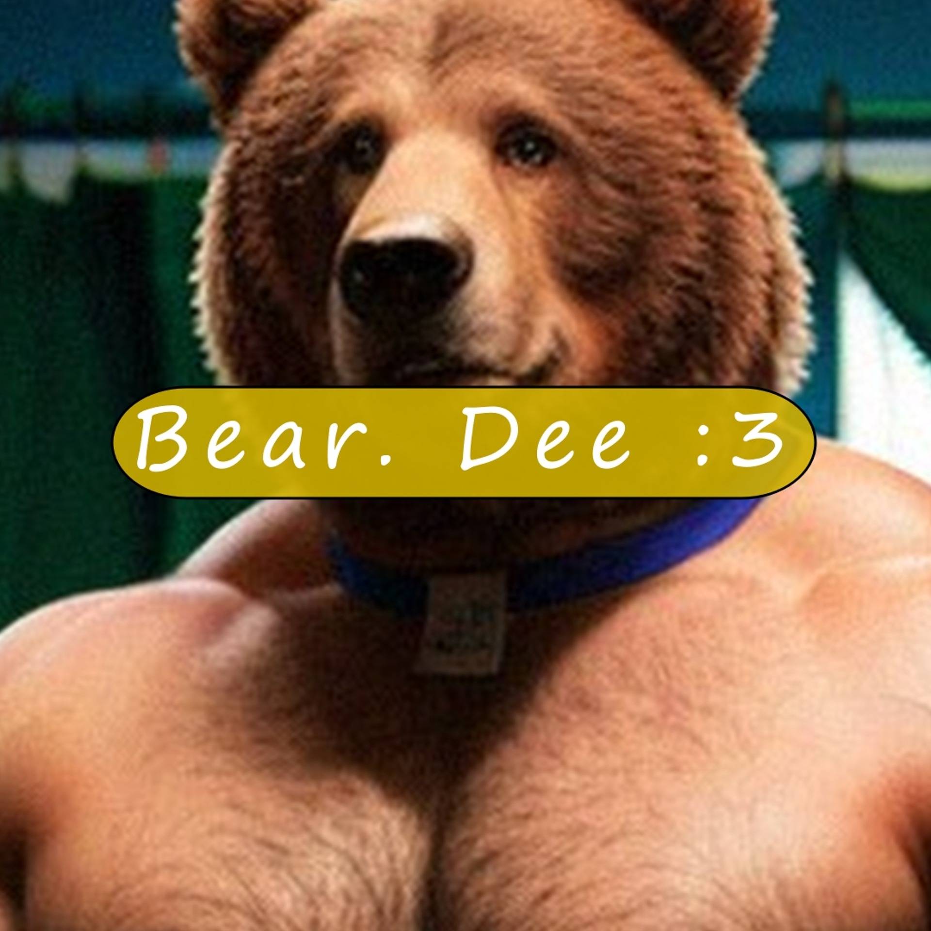 loverfans Bear_Dee :3 profile photo. Bear_Dee :3 2