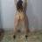 loverfans Nicolehotwife profile photo. Nicolehotwife 8