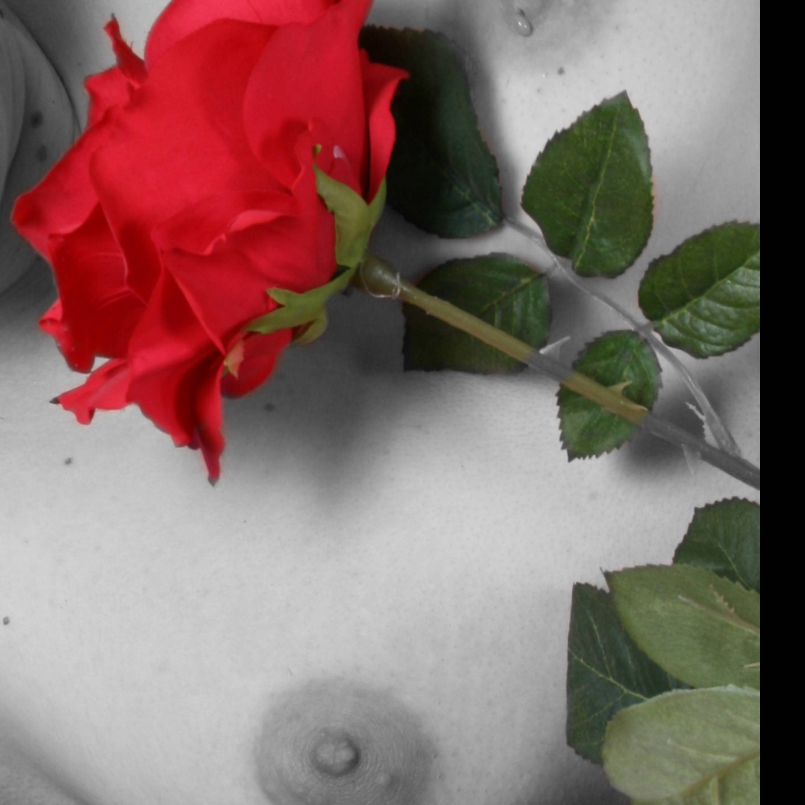 loverfans noirchan profile photo. noirchan 23