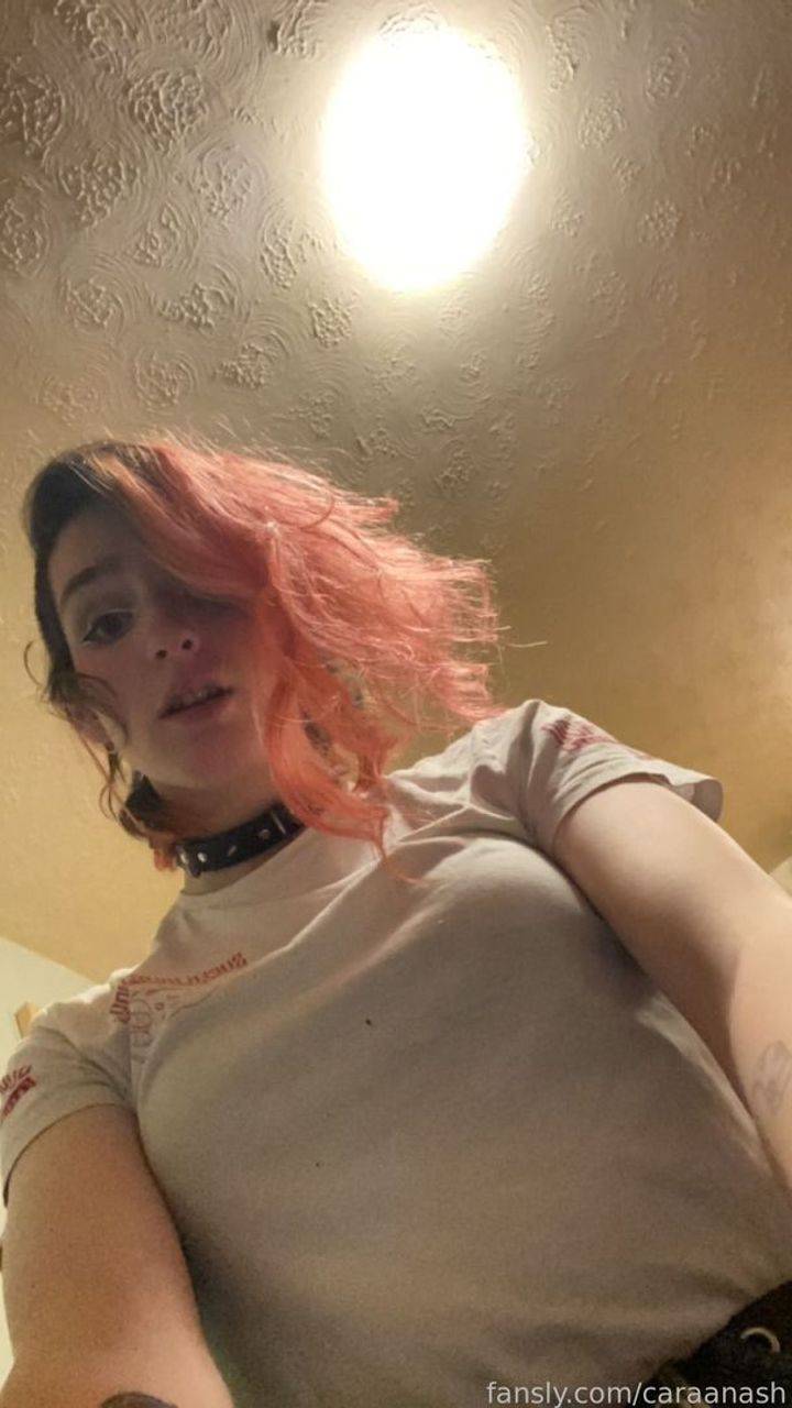 fansly Snowytundra profile photo. Snowytundra 22