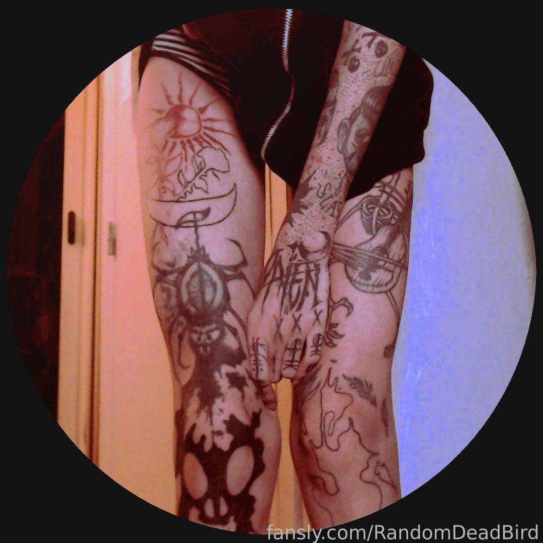 fansly Foxy "HxC" Macfly profile photo. Foxy "HxC" Macfly 36