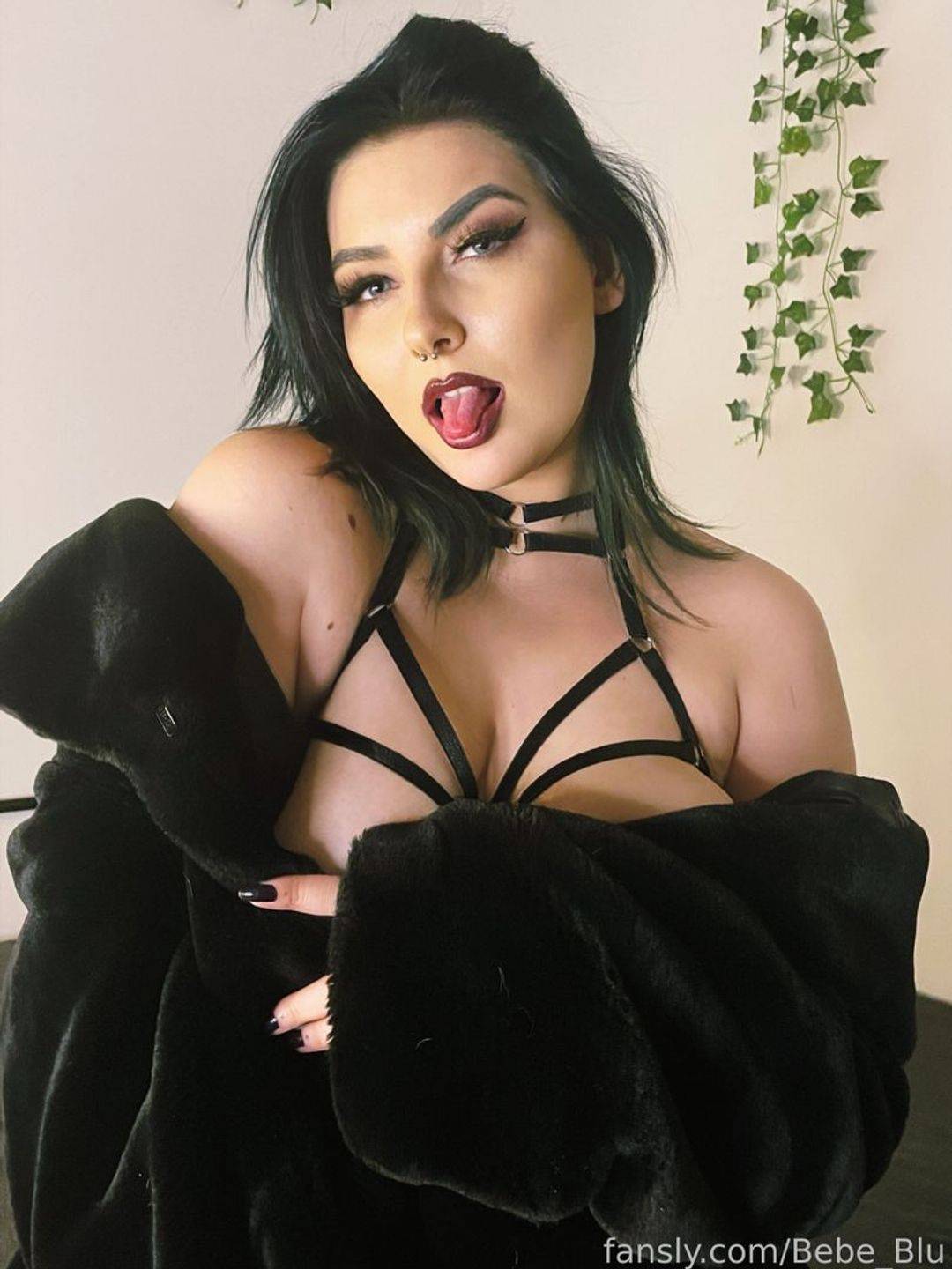 fansly Bebe Blu profile photo. Bebe Blu 33