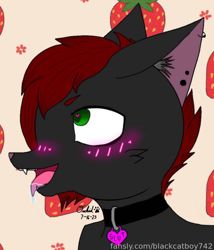 fansly ftm_cat_boi profile photo. ftm_cat_boi 12