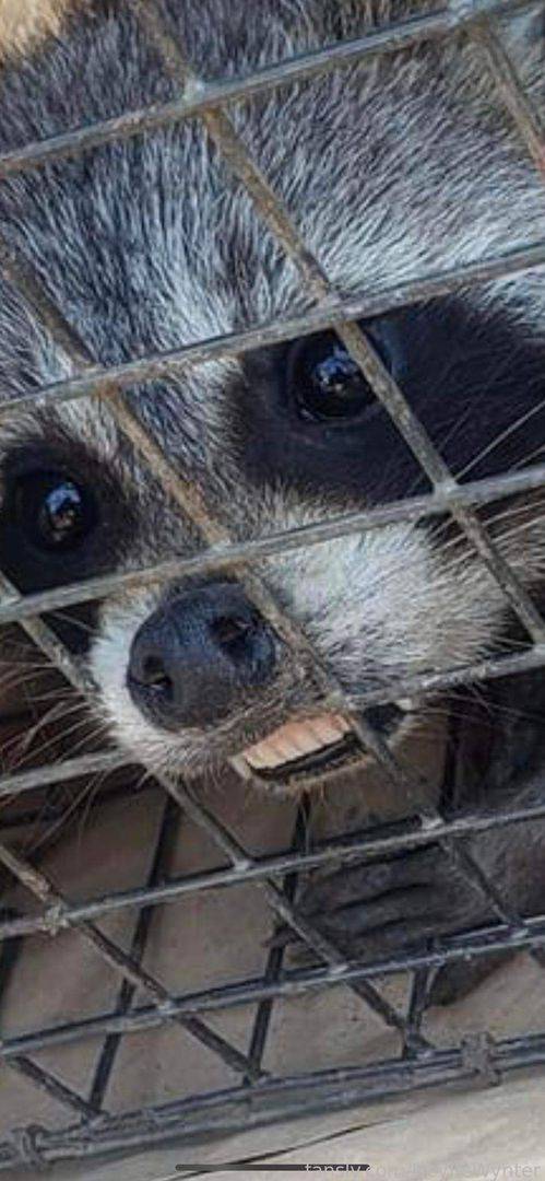 fansly HeyItsWynter profile photo. HeyItsWynter 24