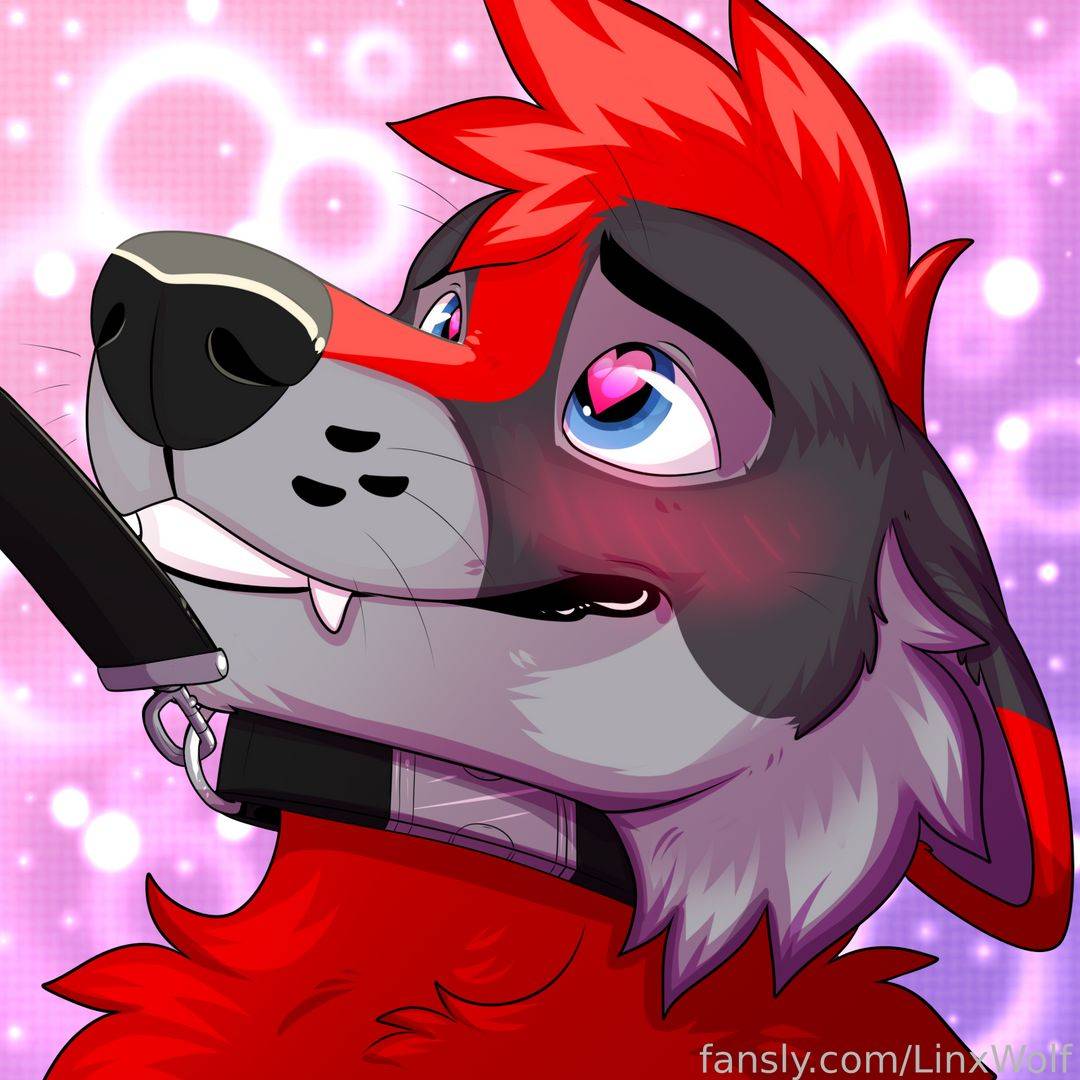 fansly LinxWolf profile photo. LinxWolf 34