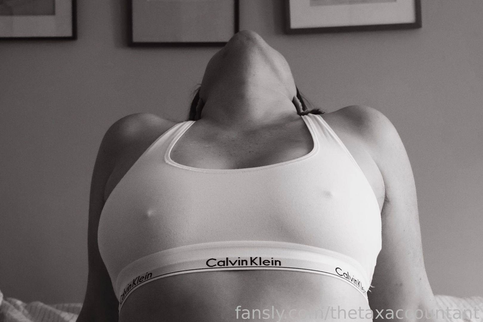 fansly The Tax Accountant profile photo. The Tax Accountant 26