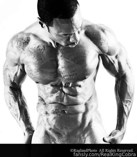 fansly RealKingCobra profile photo. RealKingCobra 13
