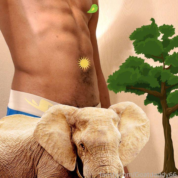 fansly Goatdaddy66 profile photo. Goatdaddy66 2