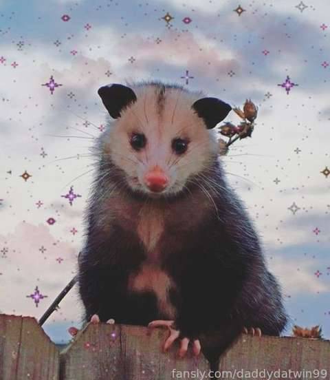fansly Darwin ⭐ profile photo. Darwin ⭐ 26
