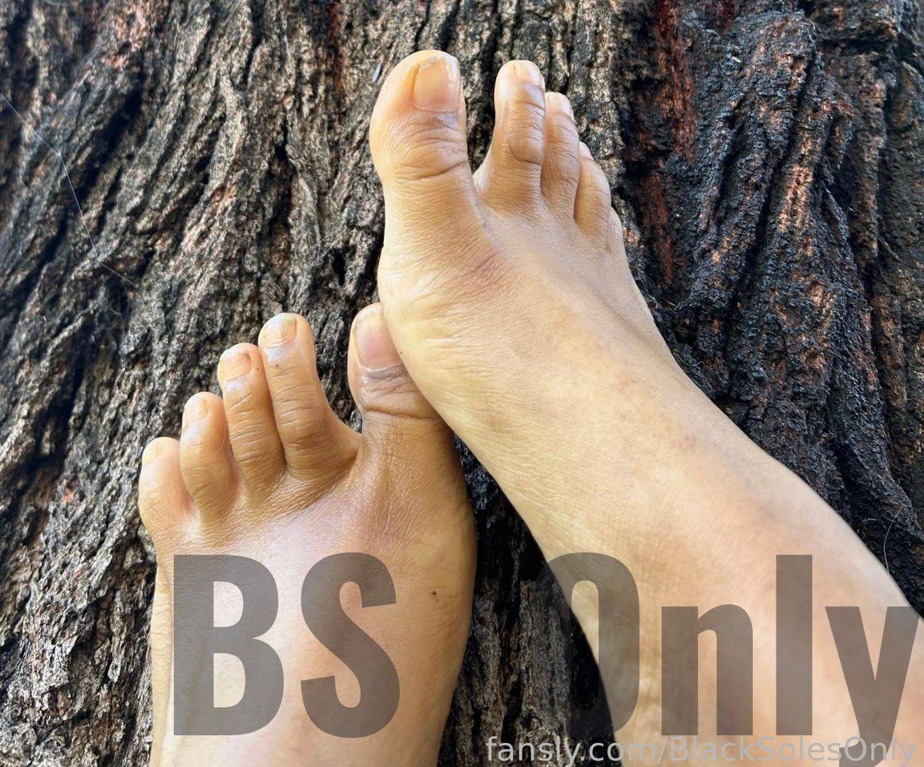 fansly BlackSolesOnly profile photo. BlackSolesOnly 1