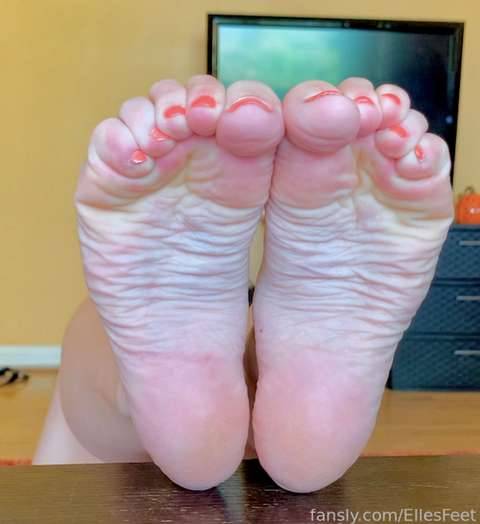 fansly EllesFeet profile photo. EllesFeet 29