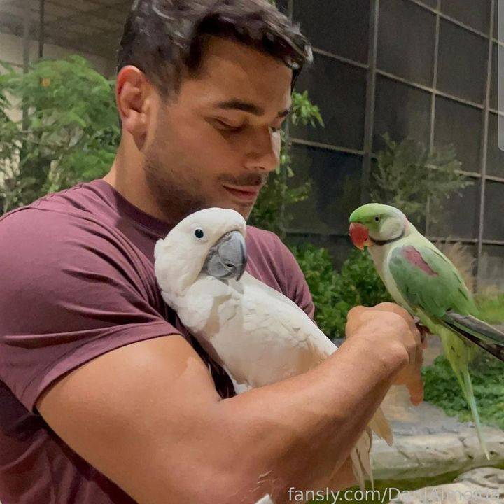 fansly DaniAlmeida profile photo. DaniAlmeida 7