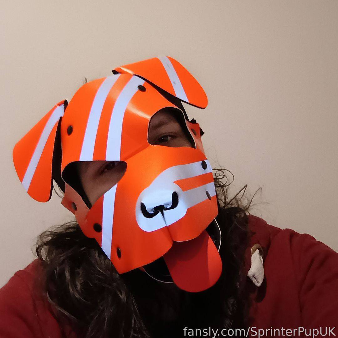 fansly sprinterPupUK profile photo. sprinterPupUK 8