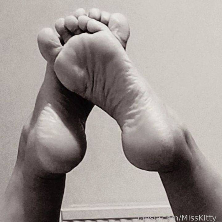 fansly MissKitty_ profile photo. MissKitty_ 23