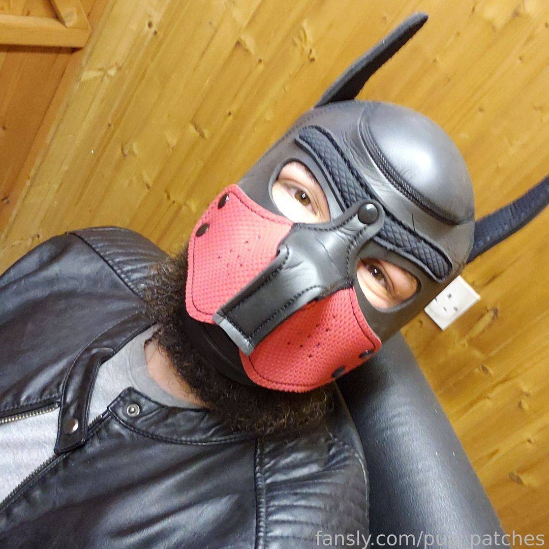fansly pup_patches profile photo. pup_patches 26