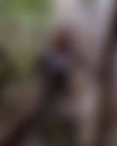 fansly DreadedNaturalist profile photo. DreadedNaturalist 3