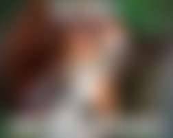 fansly Ballsofabull85 profile photo. Ballsofabull85 13