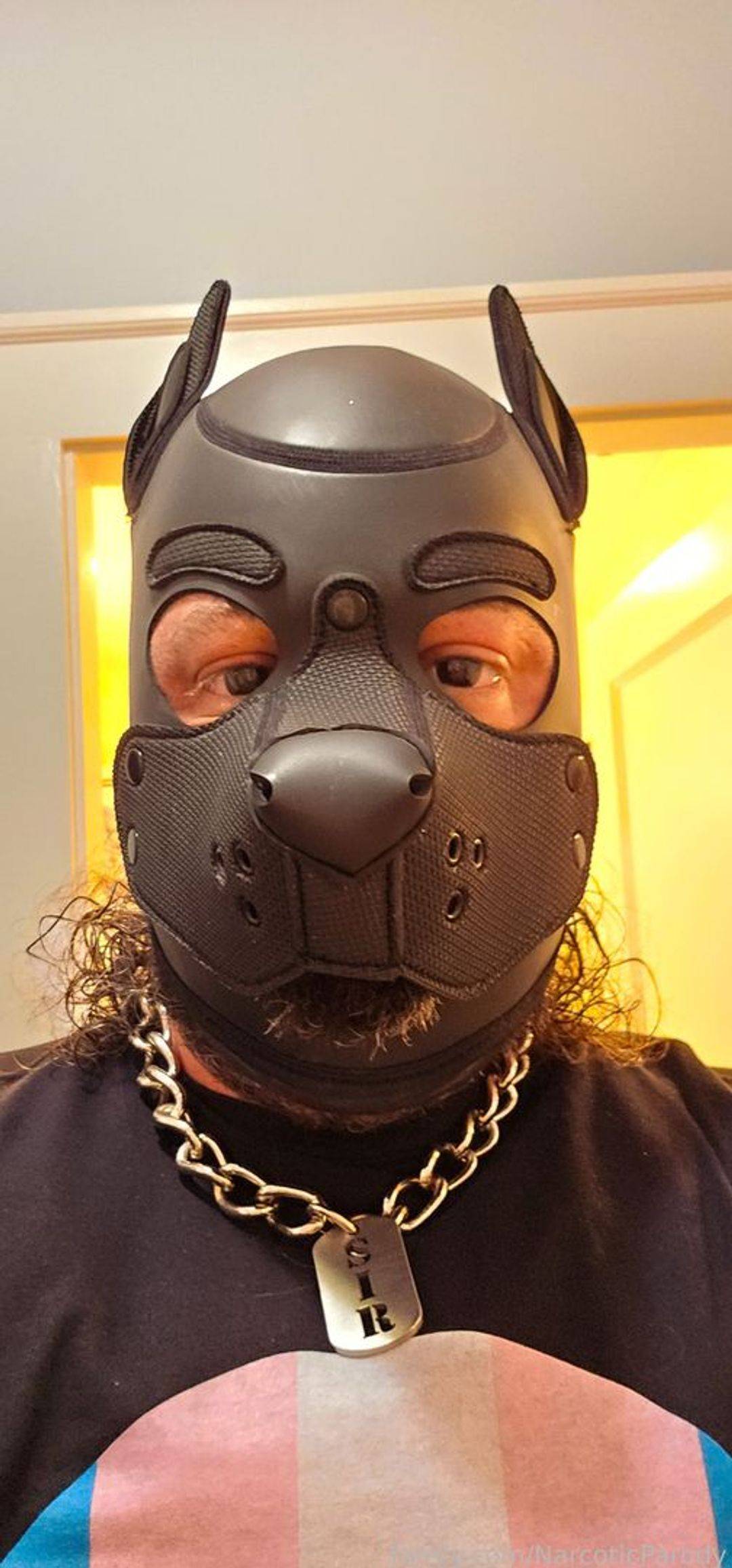 fansly NarcoticParody profile photo. NarcoticParody 23