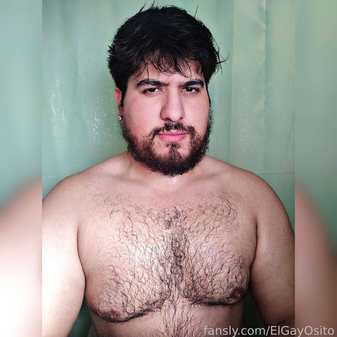 fansly El Gay Osito profile photo. El Gay Osito 30