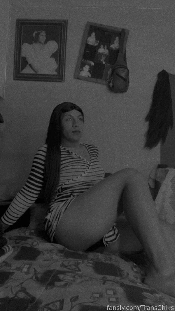 fansly Trans Chiks profile photo. Trans Chiks 24