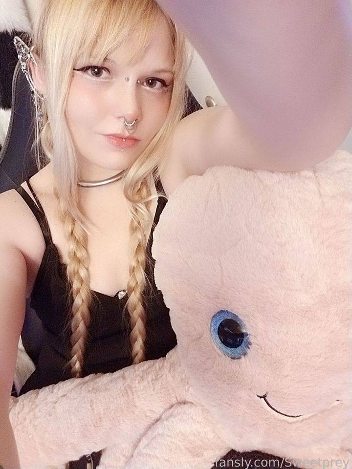 fansly SweetPrey profile photo. SweetPrey 27