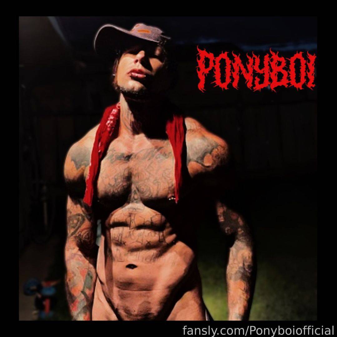 fansly Ponyboiofficial profile photo. Ponyboiofficial 12
