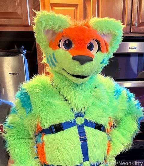 fansly NeonKitty profile photo. NeonKitty 21
