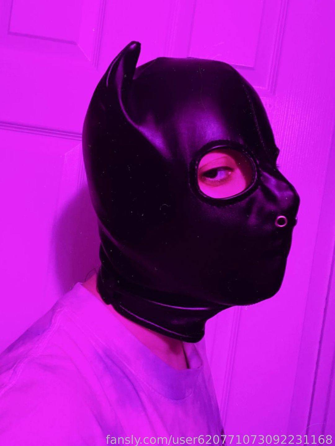 fansly PupWrangler1810 profile photo. PupWrangler1810 35