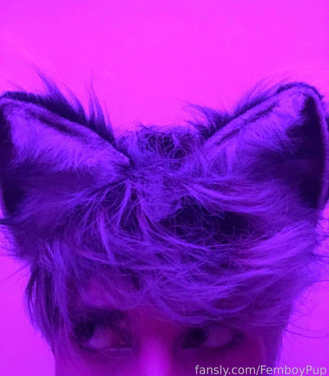 fansly FemboyPup profile photo. FemboyPup 3