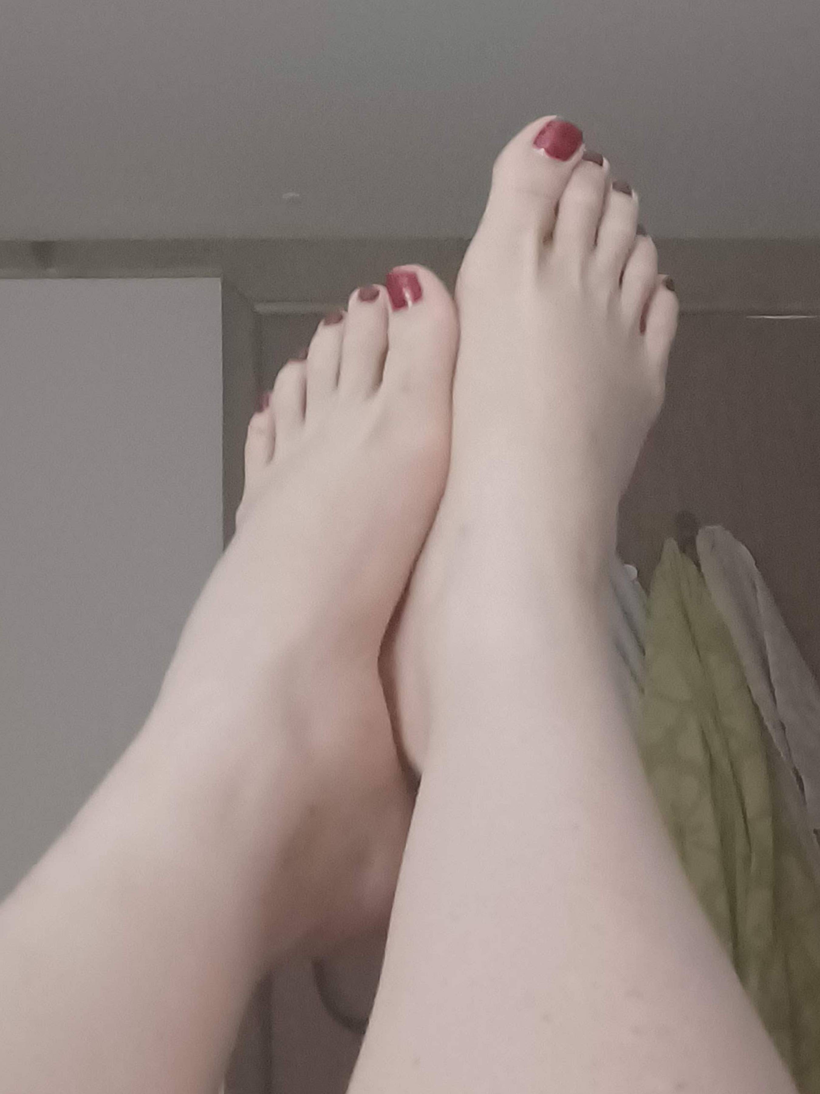 onlyfans Piglet profile photo. Piglet 3