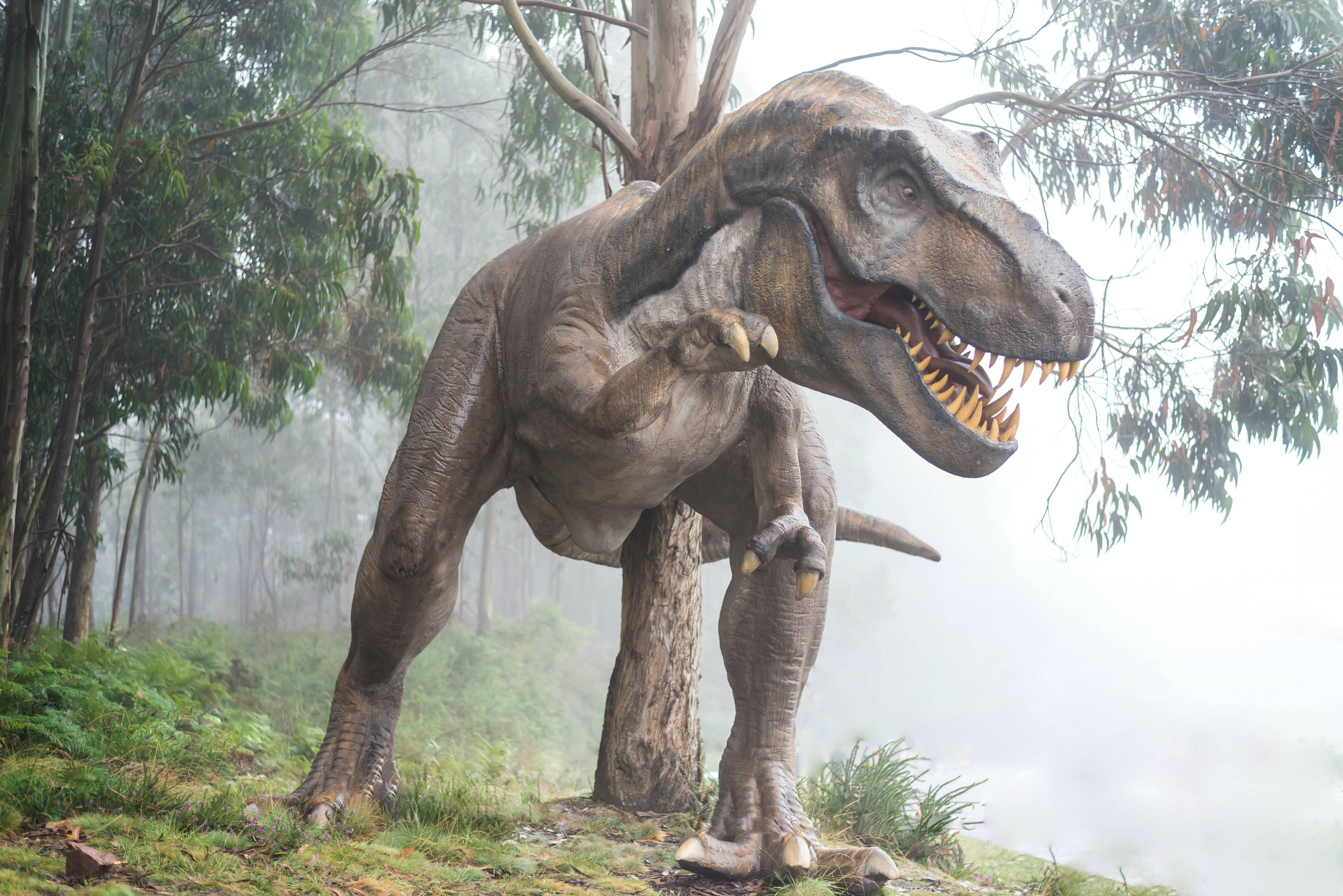 onlyfans Dinosaur Facts profile photo. Dinosaur Facts 24