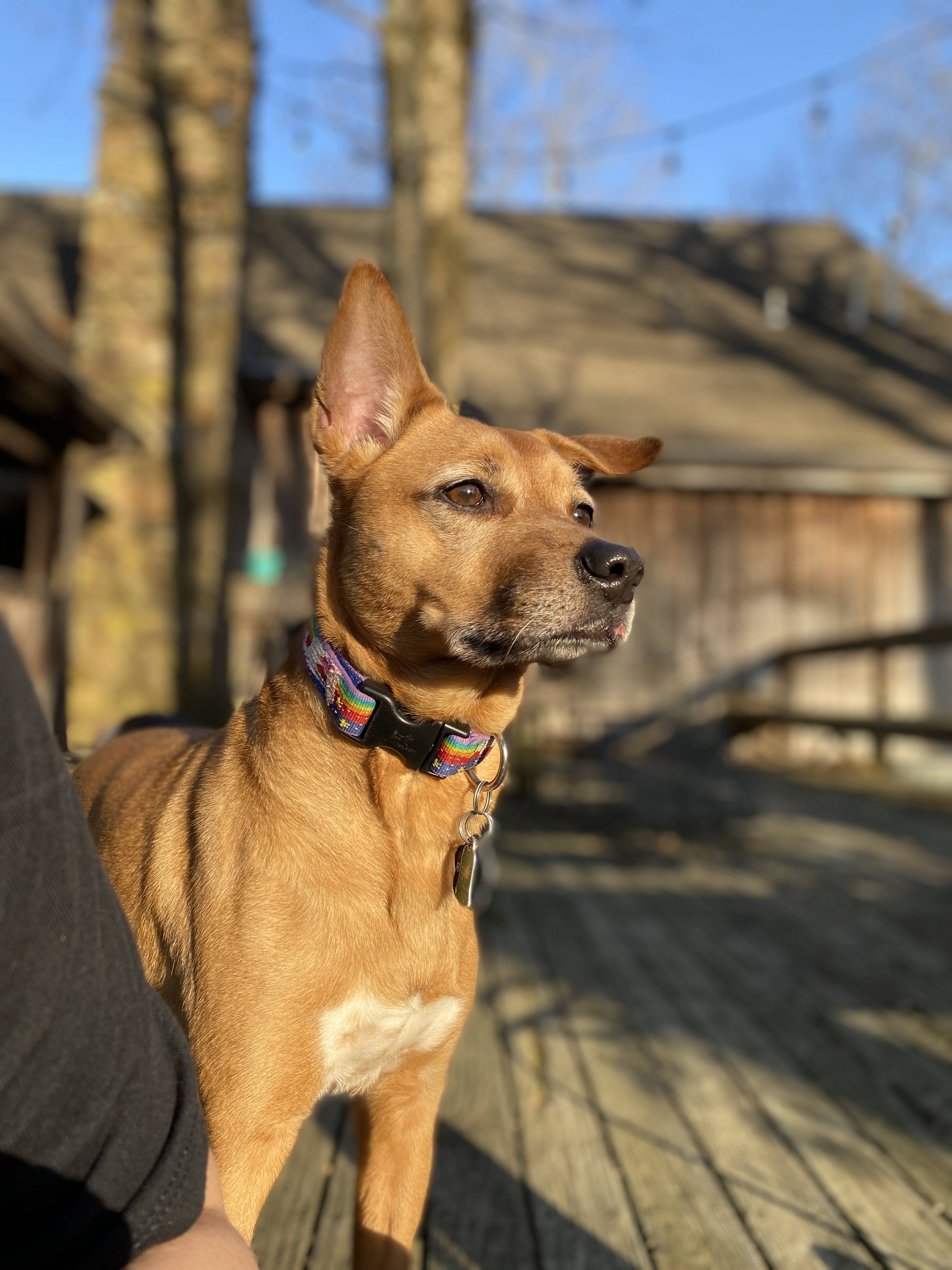 onlyfans Kat G profile photo. Kat G 9