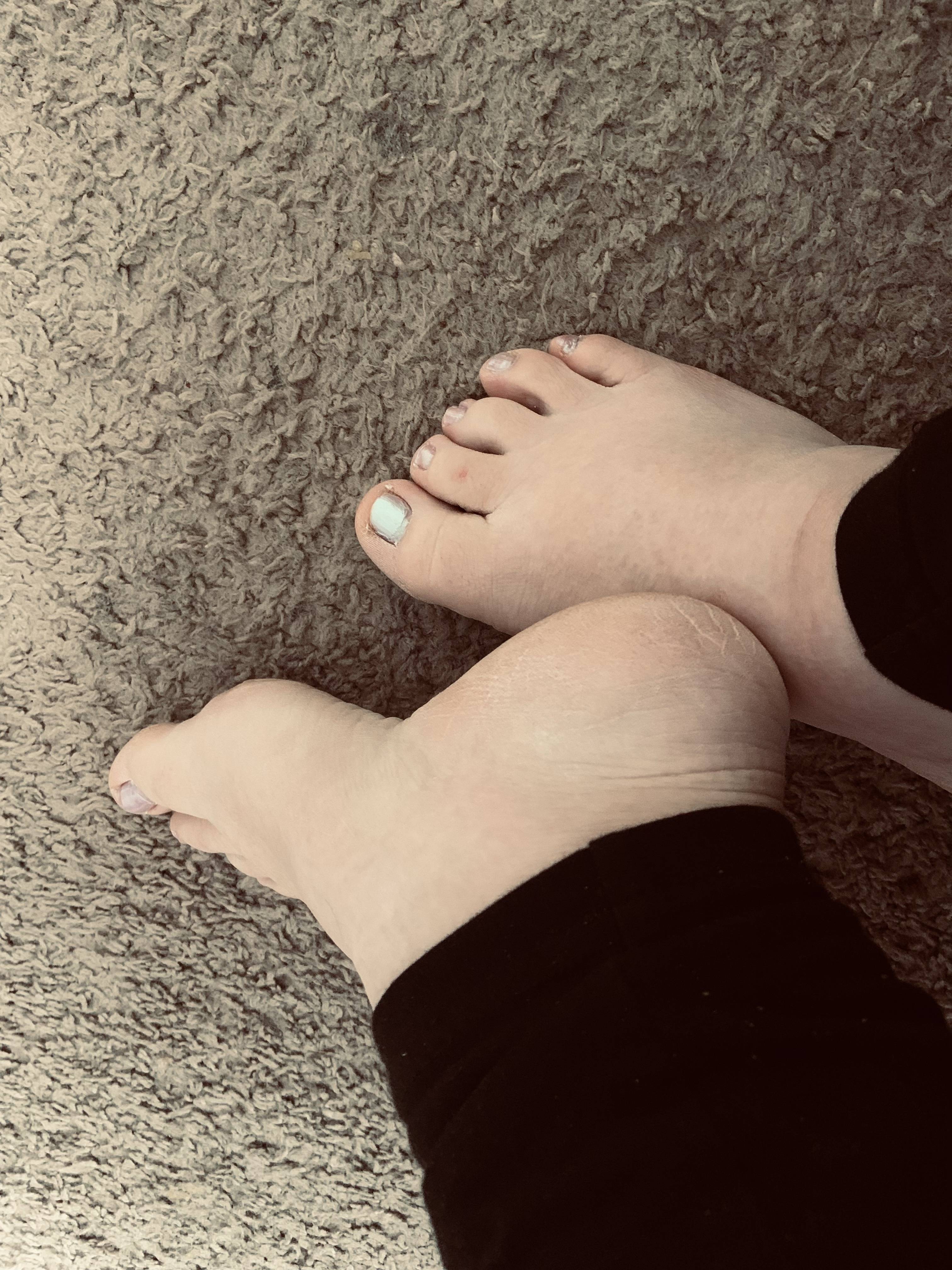 onlyfans Feet Are Us profile photo. Feet Are Us 8
