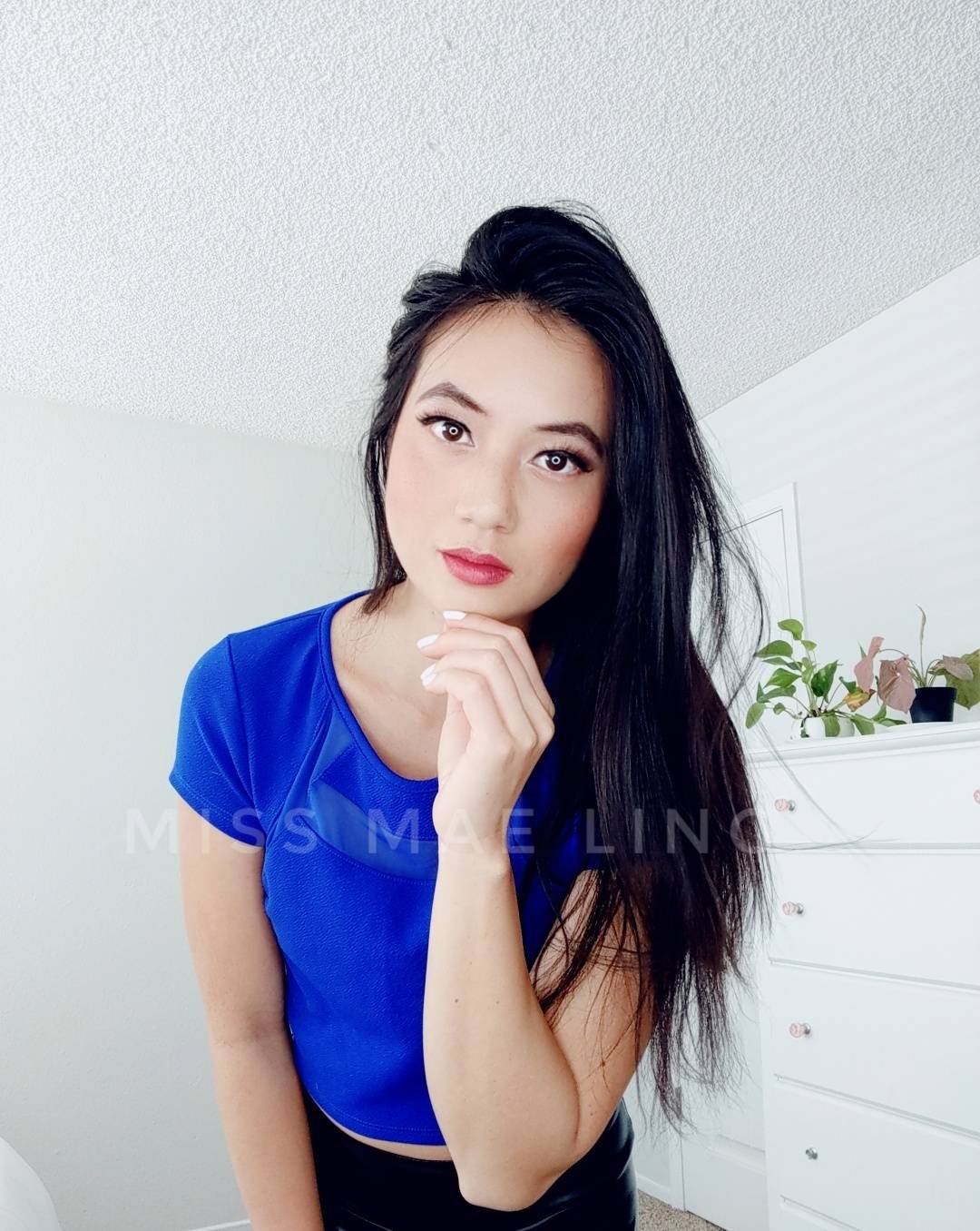 onlyfans Circus Domme profile photo. Circus Domme 14