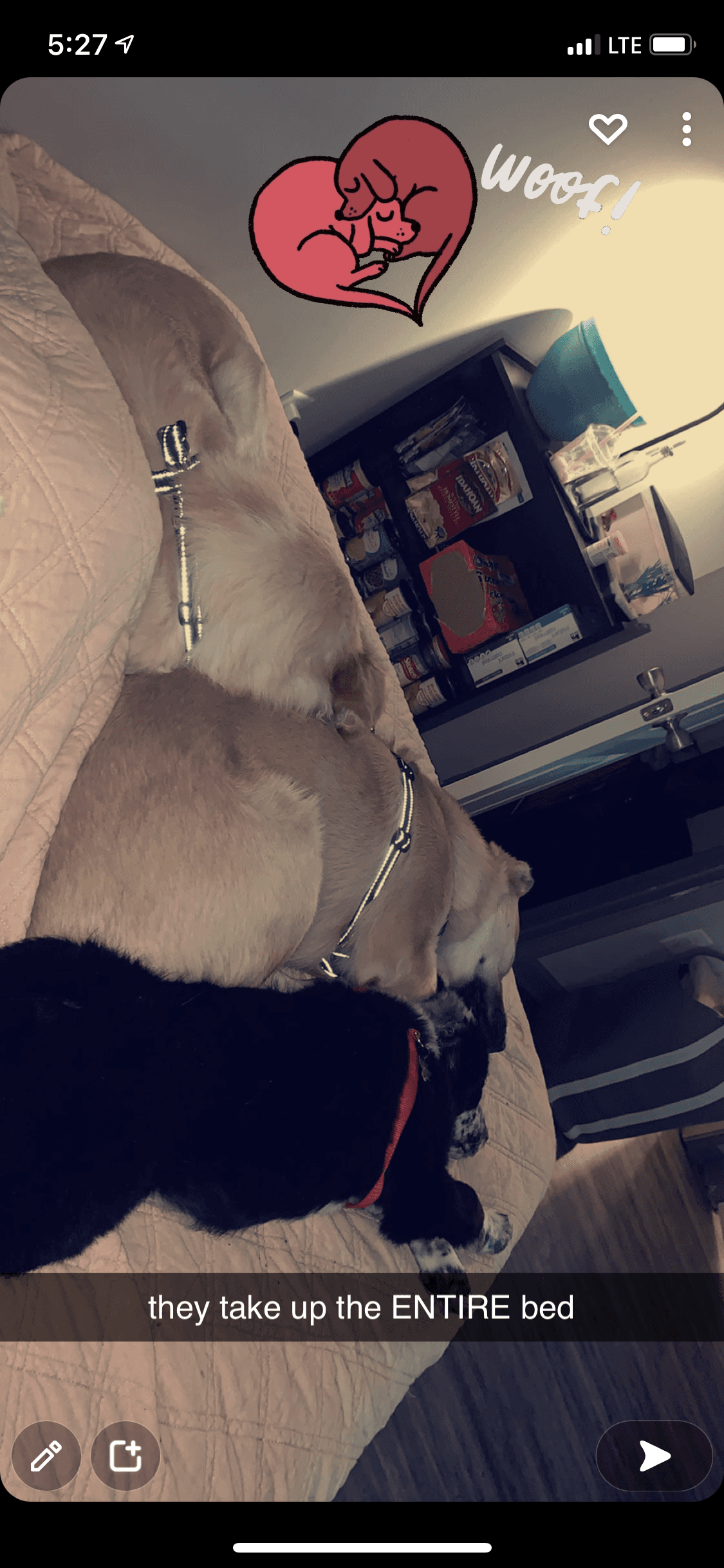 onlyfans hank, wrig, and jacko profile photo. hank, wrig, and jacko 23