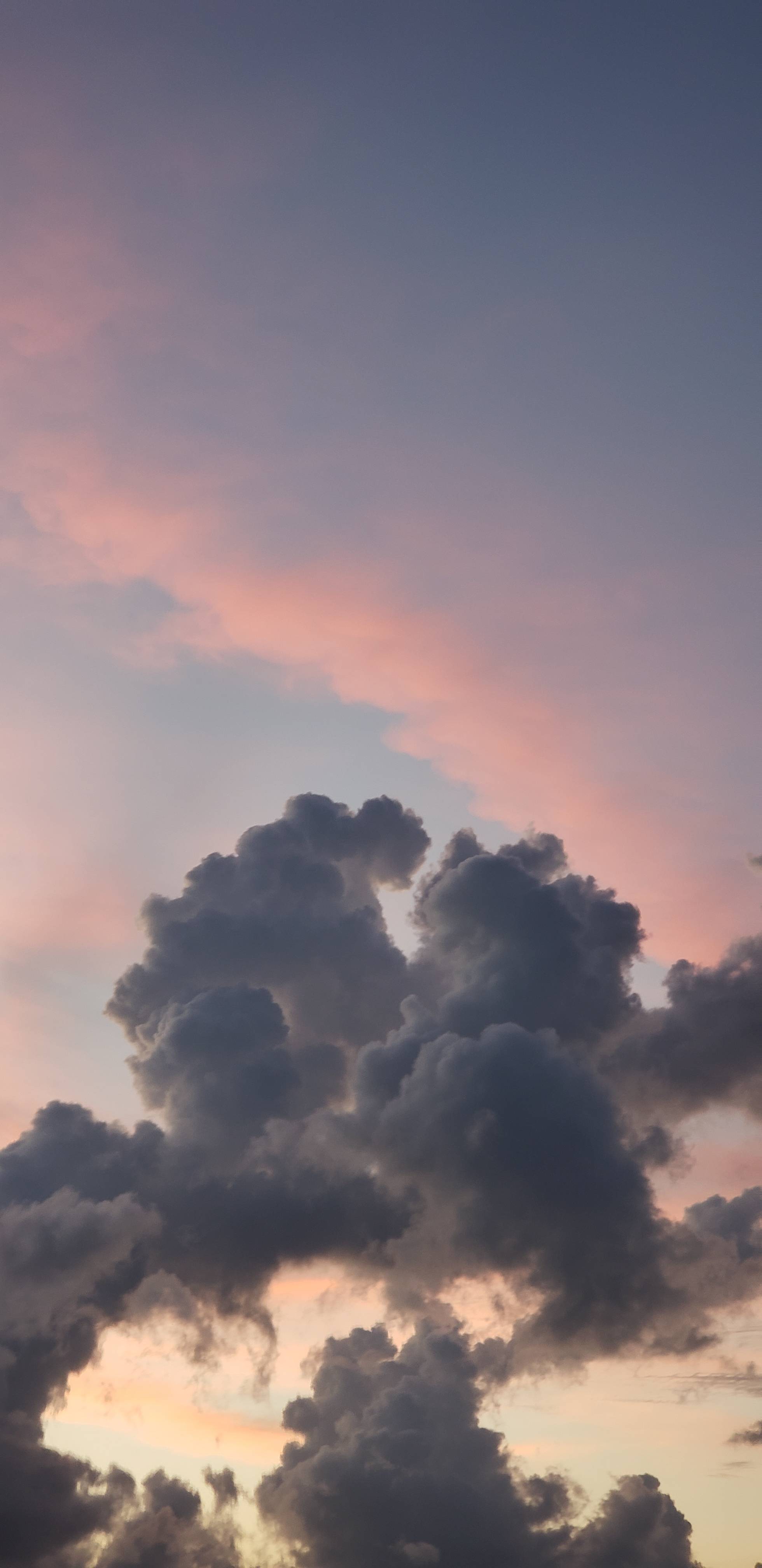 undefined Indo profile photo. Indo 8