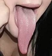 onlyfans Reptil profile photo. Reptil 4