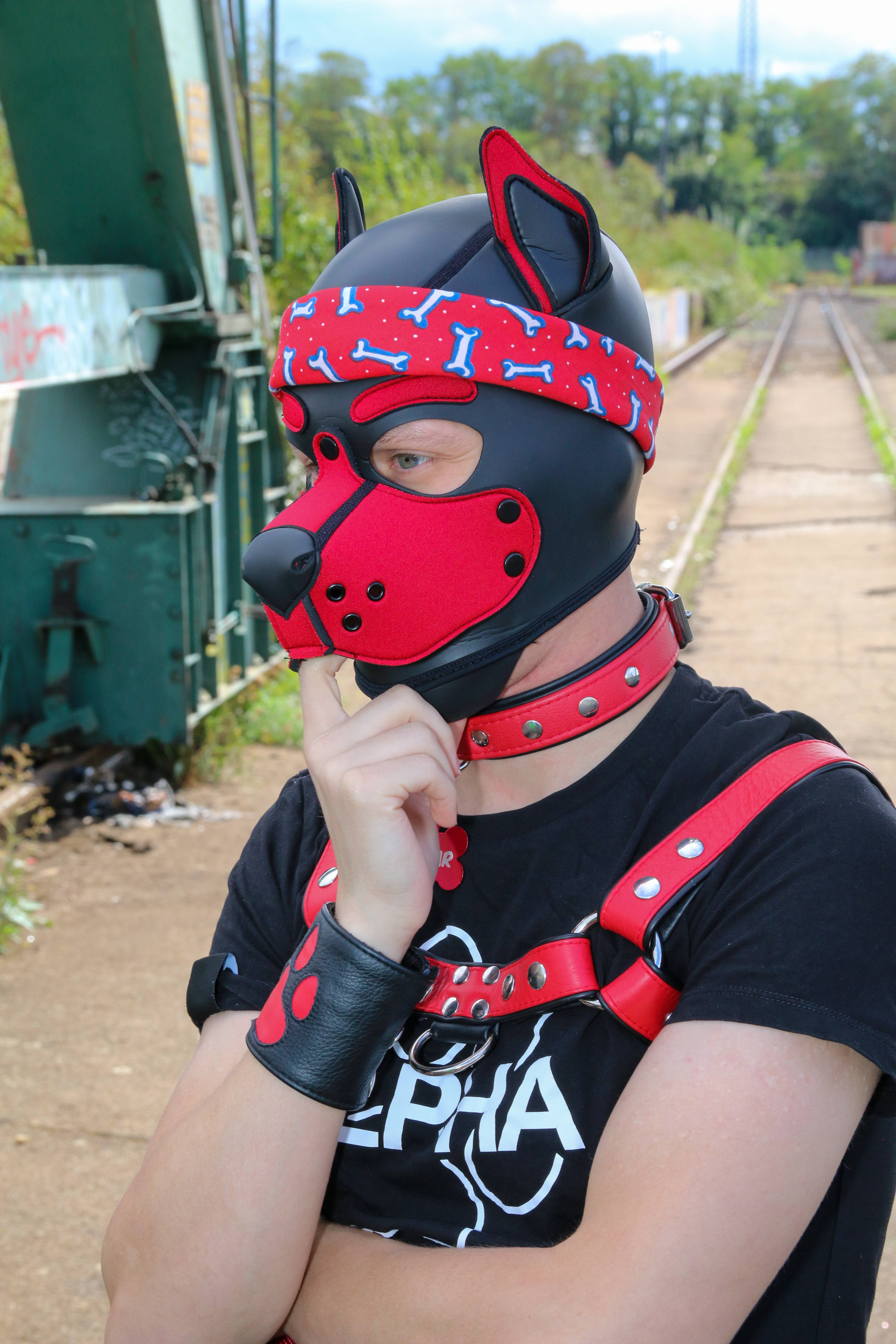 onlyfans Skylar the cute Puppy profile photo. Skylar the cute Puppy 3