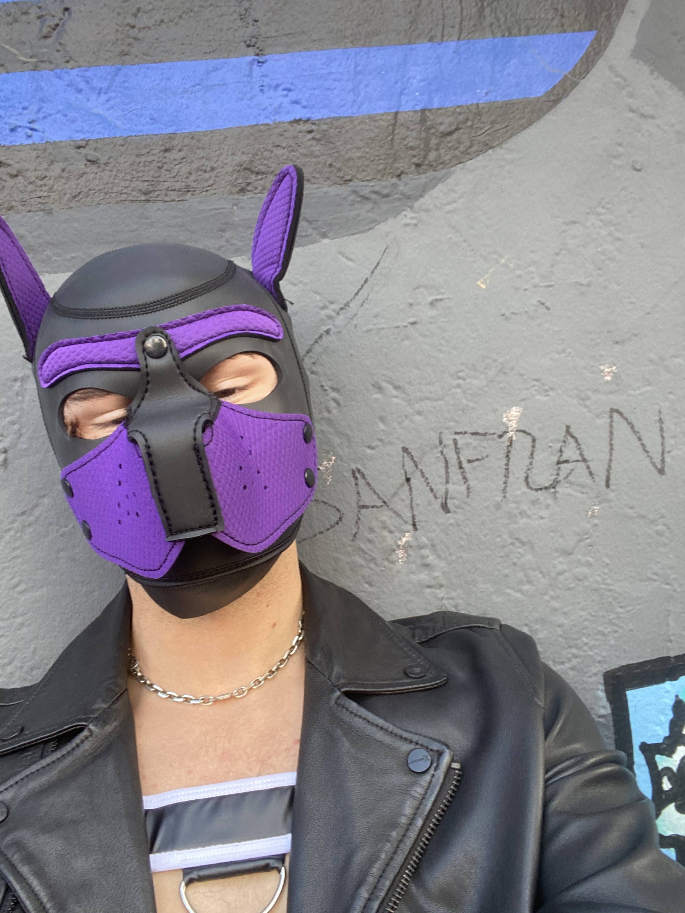 onlyfans Sterlingpup profile photo. Sterlingpup 3