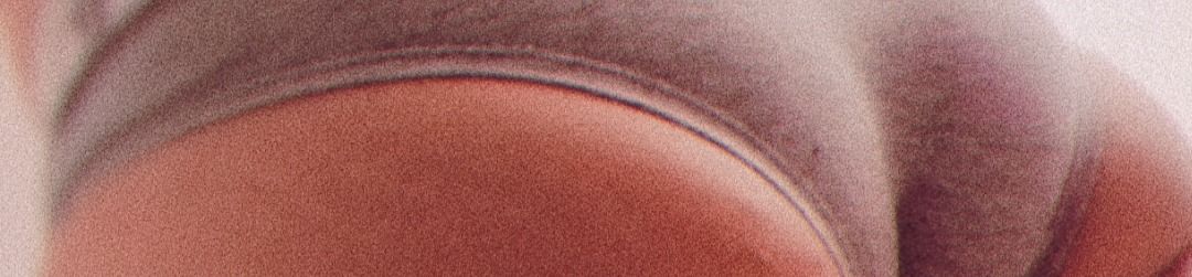 loverfans Your chubby incubus  profile banner  