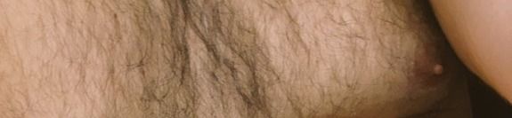 loverfans JoshuaBear profile banner  