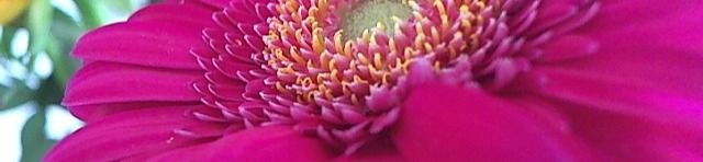 loverfans QueenJohanna profile banner  