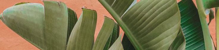 loverfans Yosmarmx profile banner  