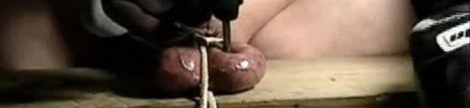 loverfans ballbustingplay profile banner  