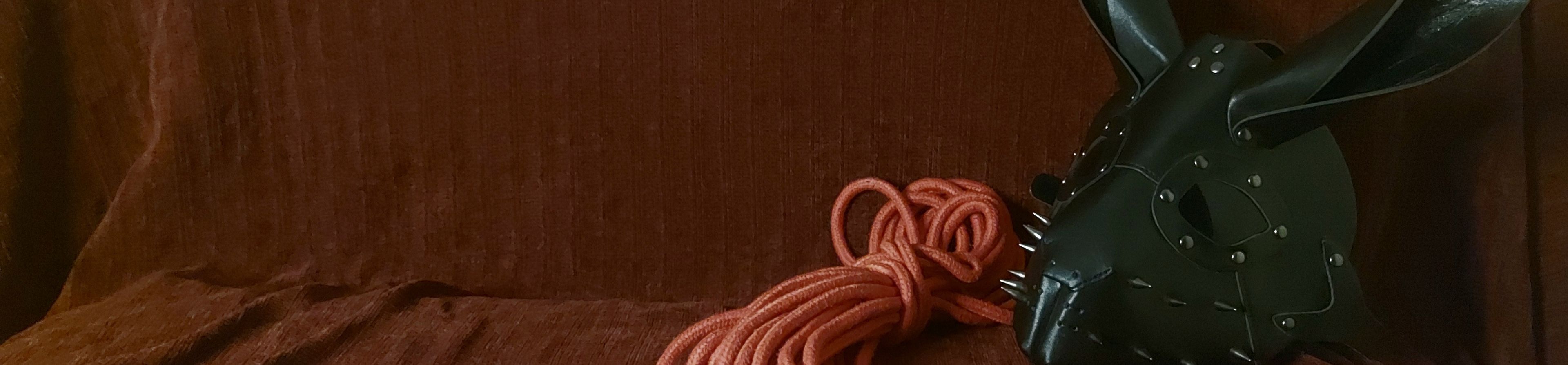 loverfans Punk Rope Bunny profile banner  