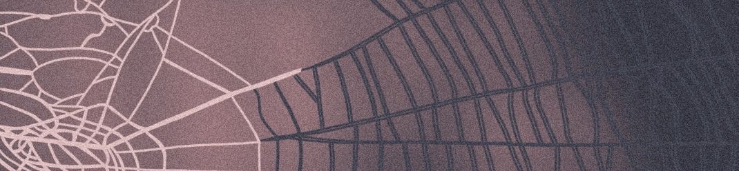 loverfans The Majestic Spider profile banner  