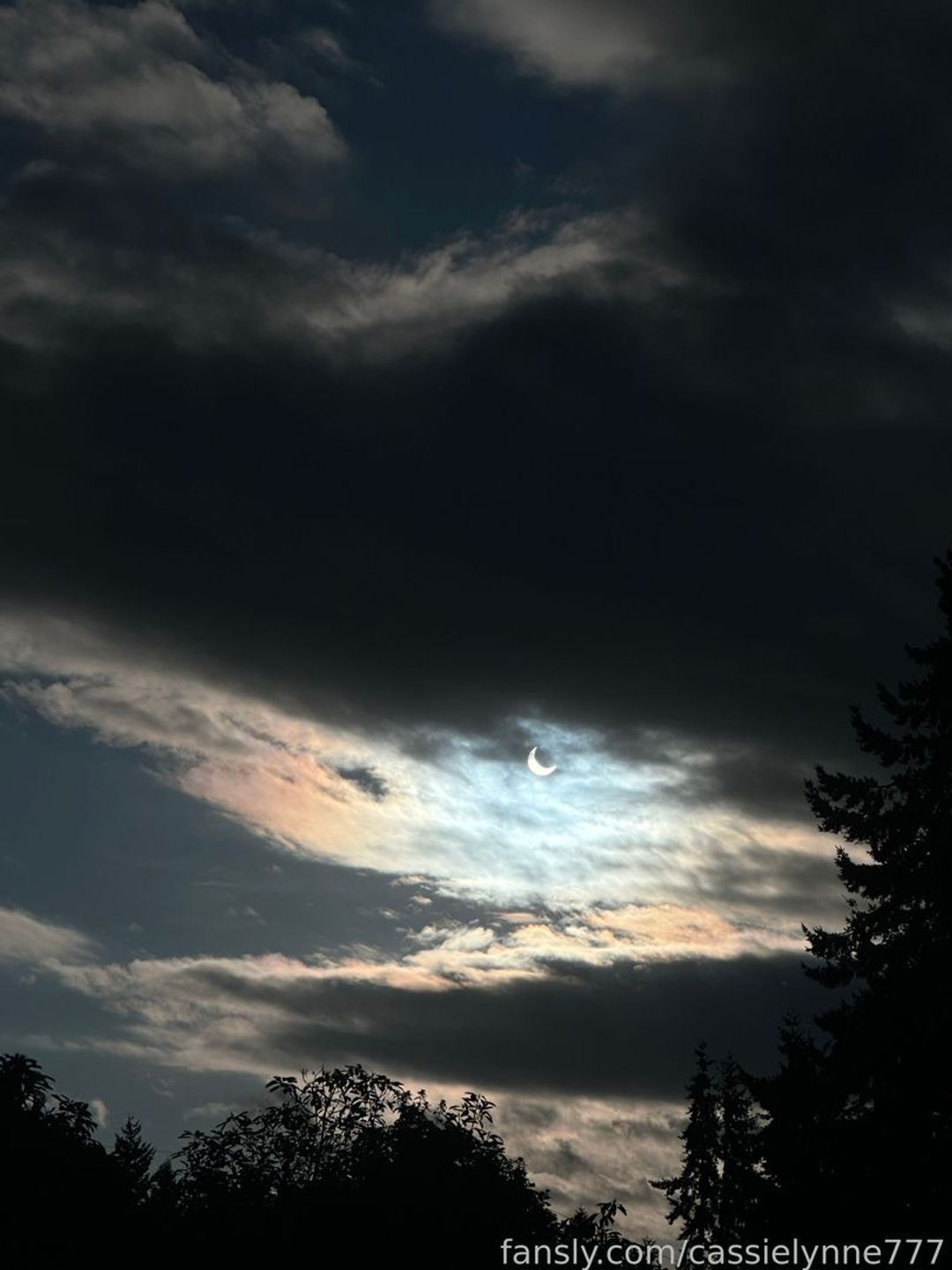 fansly Cassie Solis profile banner