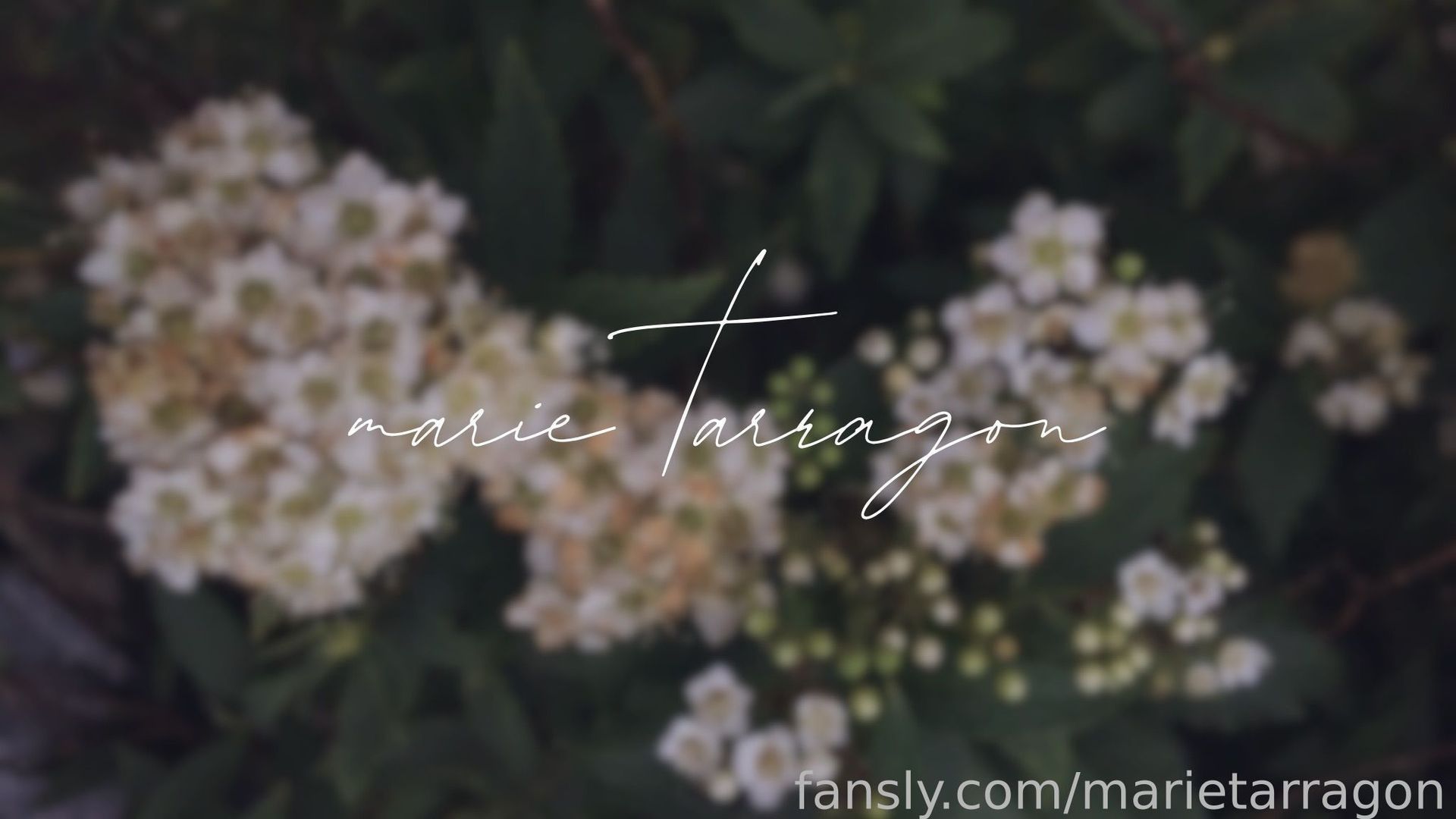 fansly marietarragon profile banner  