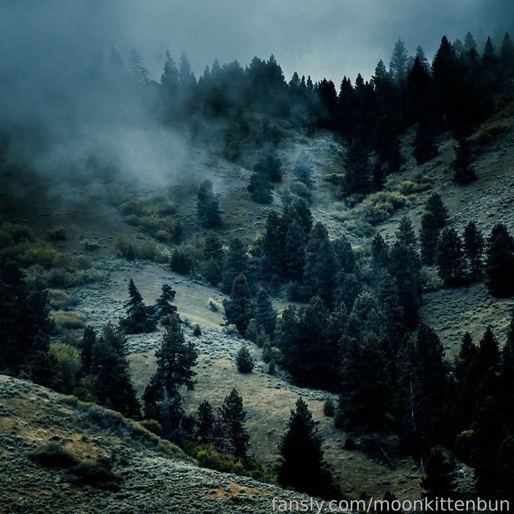 fansly Sauda profile banner